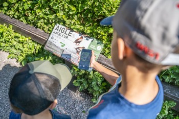 panneau_oiseaux_visite_chateau-2 panneau_oiseaux_visite_chateau-2